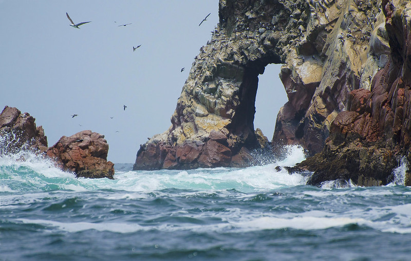 Paracas Ica Dias Y Noche Agencia De Turismo Paolas Tours